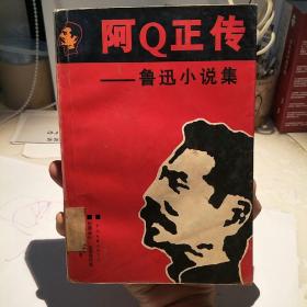 阿Q正传:鲁迅小说集