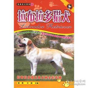 拉布拉多猎犬～全新