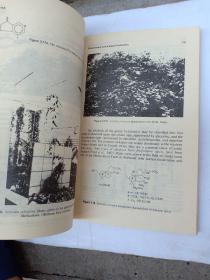 生物碱生物学及其在植物中的代谢。英文版