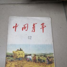 中国青年杂志1959年第12期