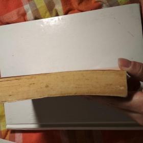 La mujer del vikingo