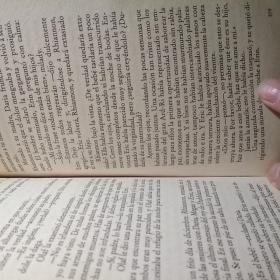 La mujer del vikingo