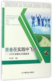 青春在实践中飞扬大学生暑期社会实践成果