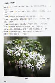 活学活用本草纲目