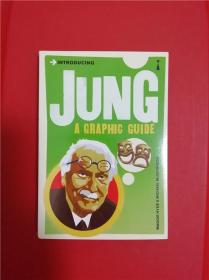 Introducing Jung: A Graphic Guide