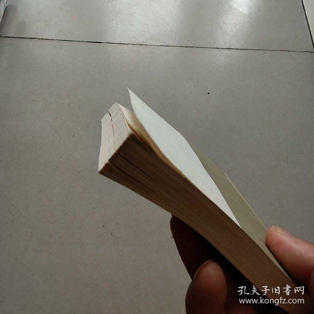 一个女人的沉沦