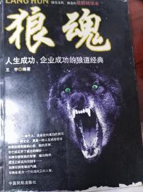 狼魂:人生成功、企业成功的狼道经典    （三层4格）