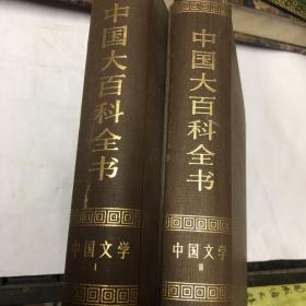 中国大百科全书   中国文学  1  2