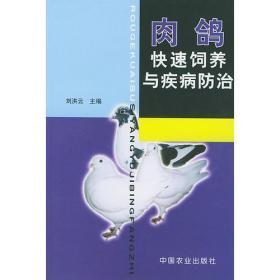 养鸽技术书籍 肉鸽快速饲养与疾病防治