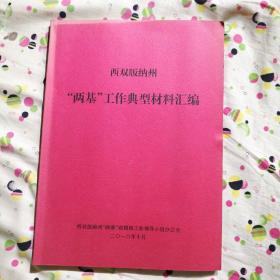 西双版纳“两基”工作典型材料汇编