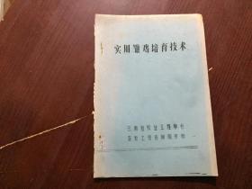 实用雏鸡培育技术 油印本 （看图）