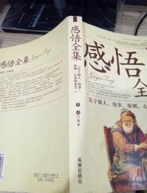 感悟全集
