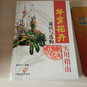 年宵花卉栽培与选购实用指南