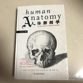 Human Anatomy人体解剖学
