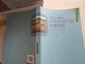 2012—2013云南文化产业发展报告