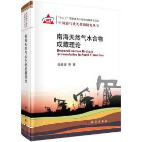 南海天然气水合物成藏理论 杨胜雄科学出版社 科学出版社 9787030564481