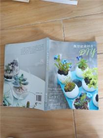 微型盆栽创意DIY