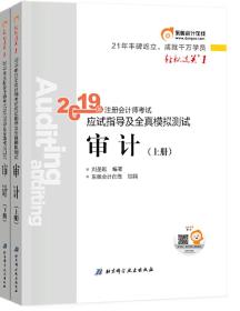 注会会计职称2019教材辅导东奥2019年轻松过关一《2019年注册会计师考试应试指导及全真模拟测试》审计（上下册）