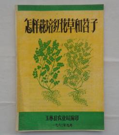 金陵大学校友杨老先生藏    怎样栽培红花草和苕子   货号：第32书架—B层