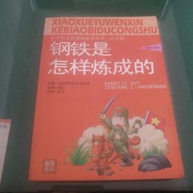 钢铁是怎样炼成的:小学语文新课标必读丛书注音版经典小书屋，原著俄奥斯特洛夫斯基选绵成长绘画夏肖远方出版社64开口袋本187页