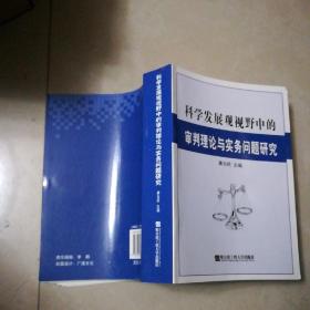 科学发展观视野中的审判理论与实务问题研究