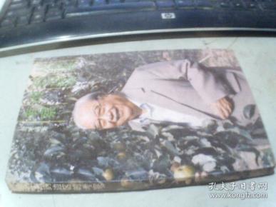 从沿海到边区的考察（费孝通