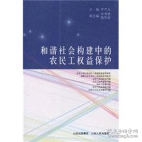 和谐社会构建中的农民工权益保护