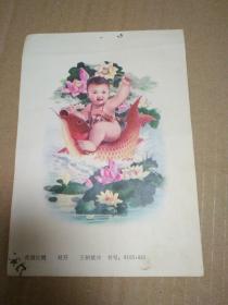 年画缩样散页：荷塘红鲤（王朝斌作）