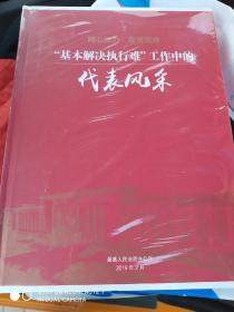 同心协力，攻难克坚 “基本解决执行难”工作中代表风采