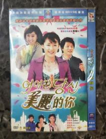 韩国电视剧DVD4碟装美丽的你