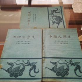 中国文学史  全三册