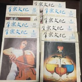 群众文化1988年1-12期（缺2.7.9）