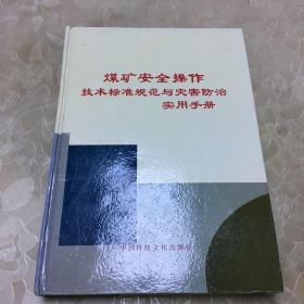 煤矿安全操作技术标准规范与灾害防治实用手册（第三卷）