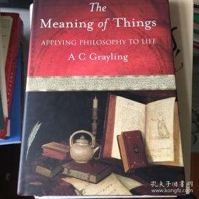 Meanings of things applying philosophy to life 生活哲学  精装 英文原版