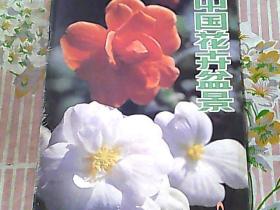 中国花卉盆景 1986/1