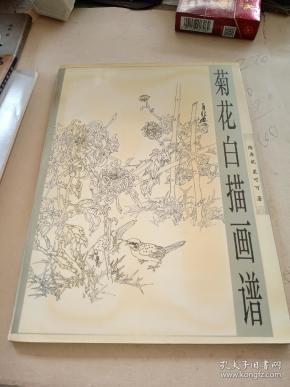 菊花白描画谱