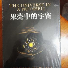 果壳中的宇宙