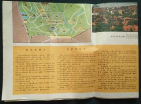 青岛市区街道图