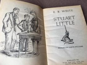 Stuart Little / 精灵鼠小弟 （英语）