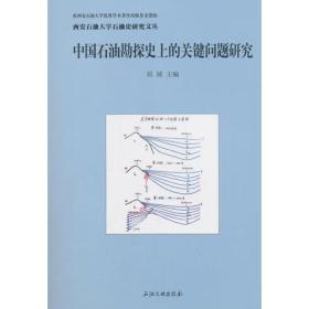 中国石油勘探史上的关键问题研究