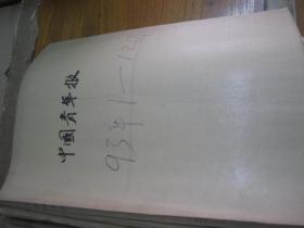 （生日报）中国青年报1993年（1月.2月.3月.5月.6月.7月.8月.9月10月.11月12月）