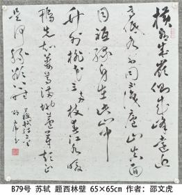 B79号书法 苏轼 题西林壁 65×65cm 邵文虎 男 1933年4月生 江苏省 农工党常州市委老龄委主委、常州市老年书画研究会副会长 作品入选中日议员公务员书法展 全国中老年书画诗词摄影大赛一等奖 纪念周恩来诞辰110周年全国书画大赛一等金奖 横看成岭侧成峰，远近高低各不同。 不识庐山真面目，只 缘身在此山中。