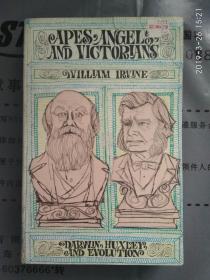 英文原版 William Irvine : Apes, Angels, Victorians The Story of Darwin, Huxley and Evolution 32开大开本 非偏远地区包快递