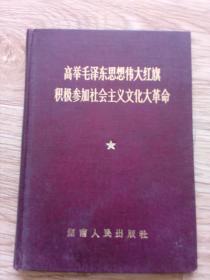 高举毛泽东思想伟大红旗  积极参加社会主义*****