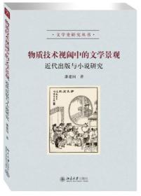 物质技术视阈中的文学景观：近代出版与小说研究