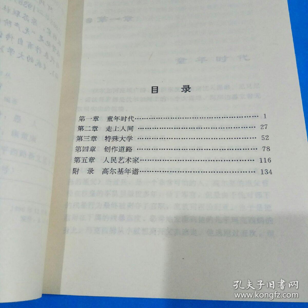 高尔基传 （外国文化名人传记书丛）