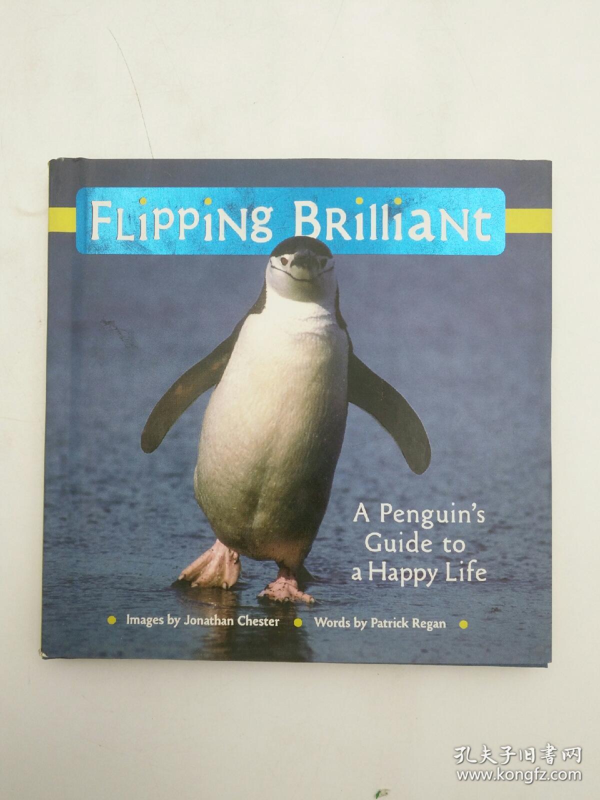 Flipping Brilliant: A Penguin's Guide to a Happy Life