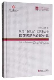 采用“叠氮法”实现聚合物修饰碳纳米管的研究/同济博士论丛