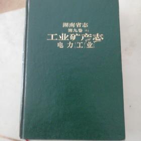 《湖南省志第九卷工业矿产志电力工业》，只印二千册