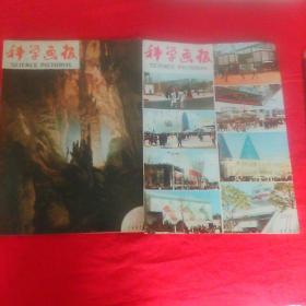 科学画报。1985年。7。12。